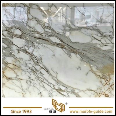 Populární deska Calacatta Gold Marble Deska
