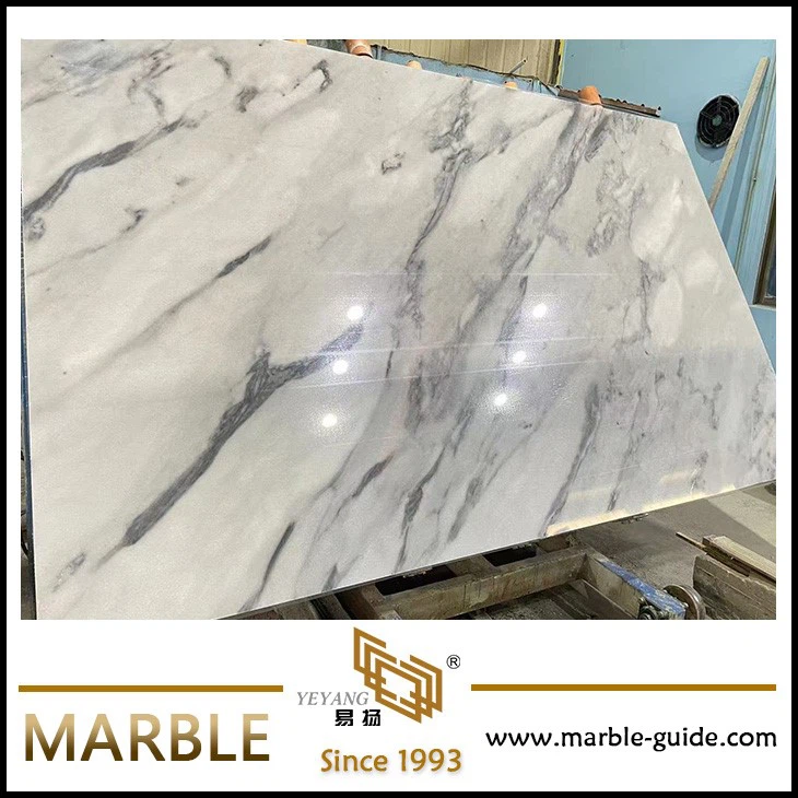 Arabascato White Marble Slab Arabascato White Marble Slab